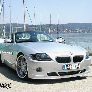 SHARK`s Blick