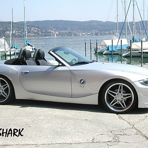 SHARK von einer anderen Seite
