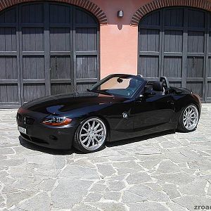 Z41
