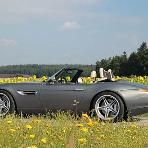 Z8 & Sonnenblumen