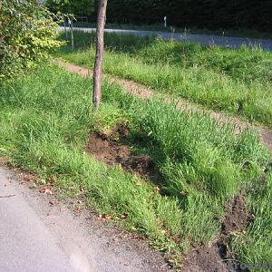 Extertal
