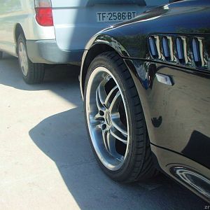 barracudas