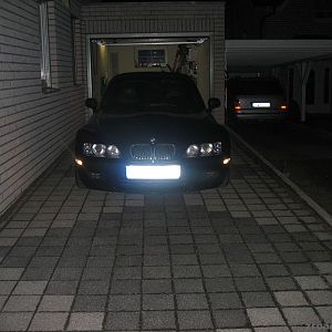GrayFox nacht,vorne