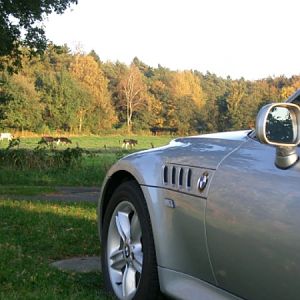 goldener Oktober