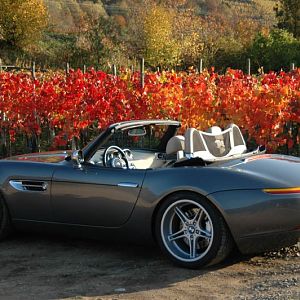 Z8 & Wein