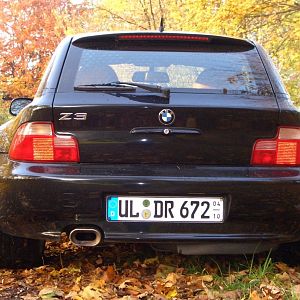 Breitarsch