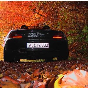 Medium '... der Waldrand "brennt"' in der Kategorie 'Wettbewerb bestes Foto BMW Z3 Roadster'