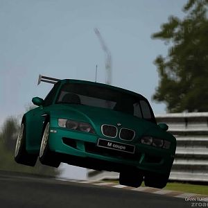 GT 4 Pflanzgarten 2
