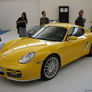 Cayman2