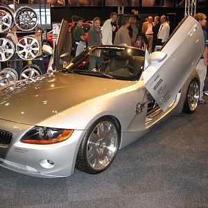 Z4_Wings