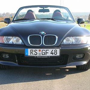 Zetti_von_vorne