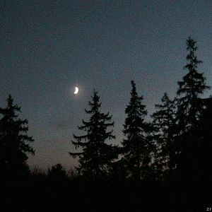 IMG_0196