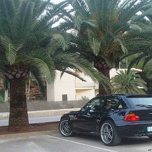 ... wer parkt schon gerne unter Palmen