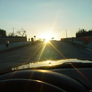 sunset-boulevard