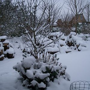 Schnee in S-H