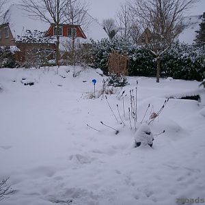 Schnee in S-H