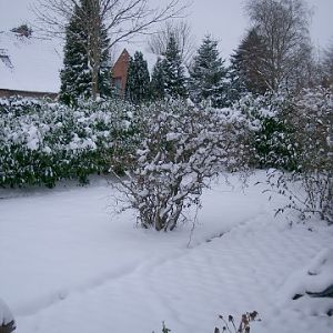 Schnee in S-H