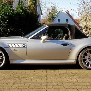 Mein Zetti im Sommertrimm 3