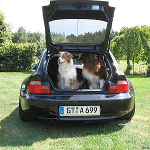 ZZZ Coupe -absolutely dog friendly-