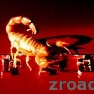 Skorp_kontrast_rs