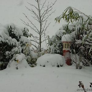 Wintereinbruch