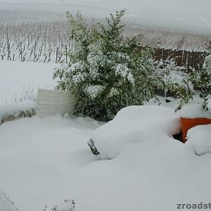 Wintereinbruch