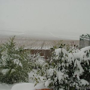 Wintereinbruch