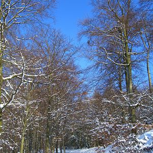 05.03.2006 - schneit nicht mehr ;-)