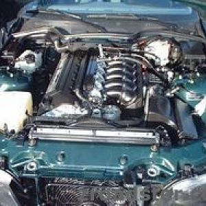 z36