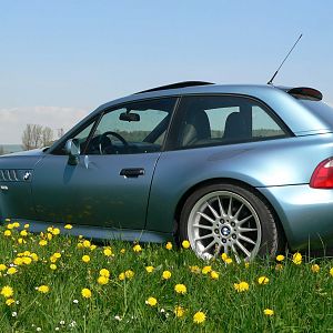 Frühling pur