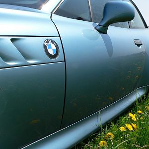 Frühling pur