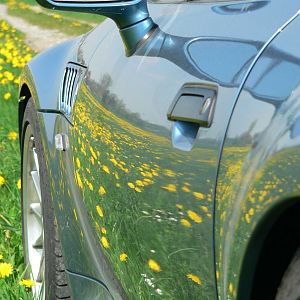 Frühling pur