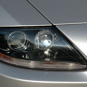 Z4 Shark