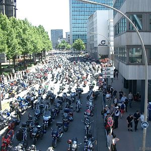 MOGO 2006 in HH