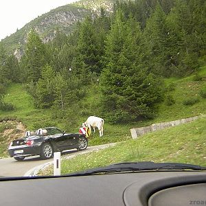 DSCN2260