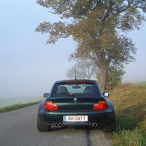 die Nebel von Avalon ...