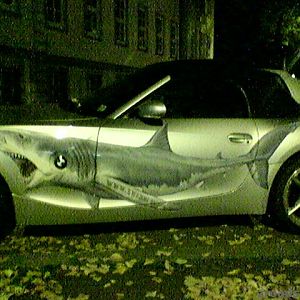 Z4_Shark01