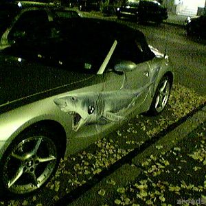 Z4_Shark02