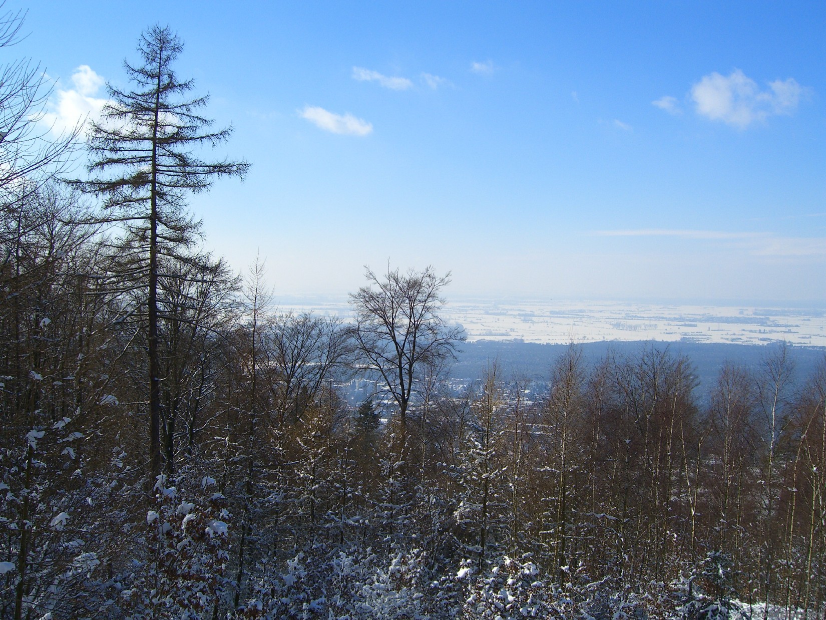 05.03.2006 - schneit nicht mehr ;-)