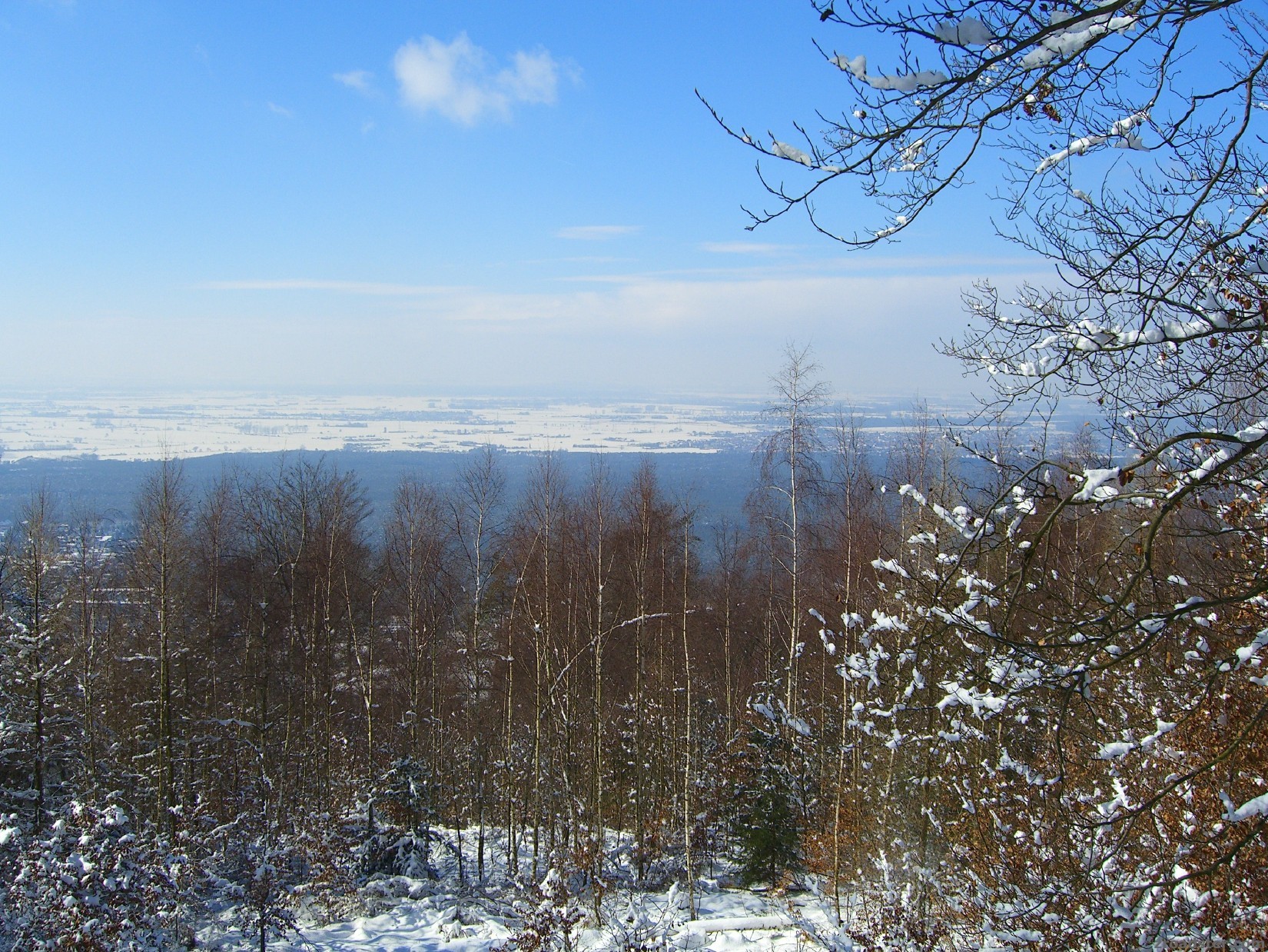 05.03.2006 - schneit nicht mehr ;-)