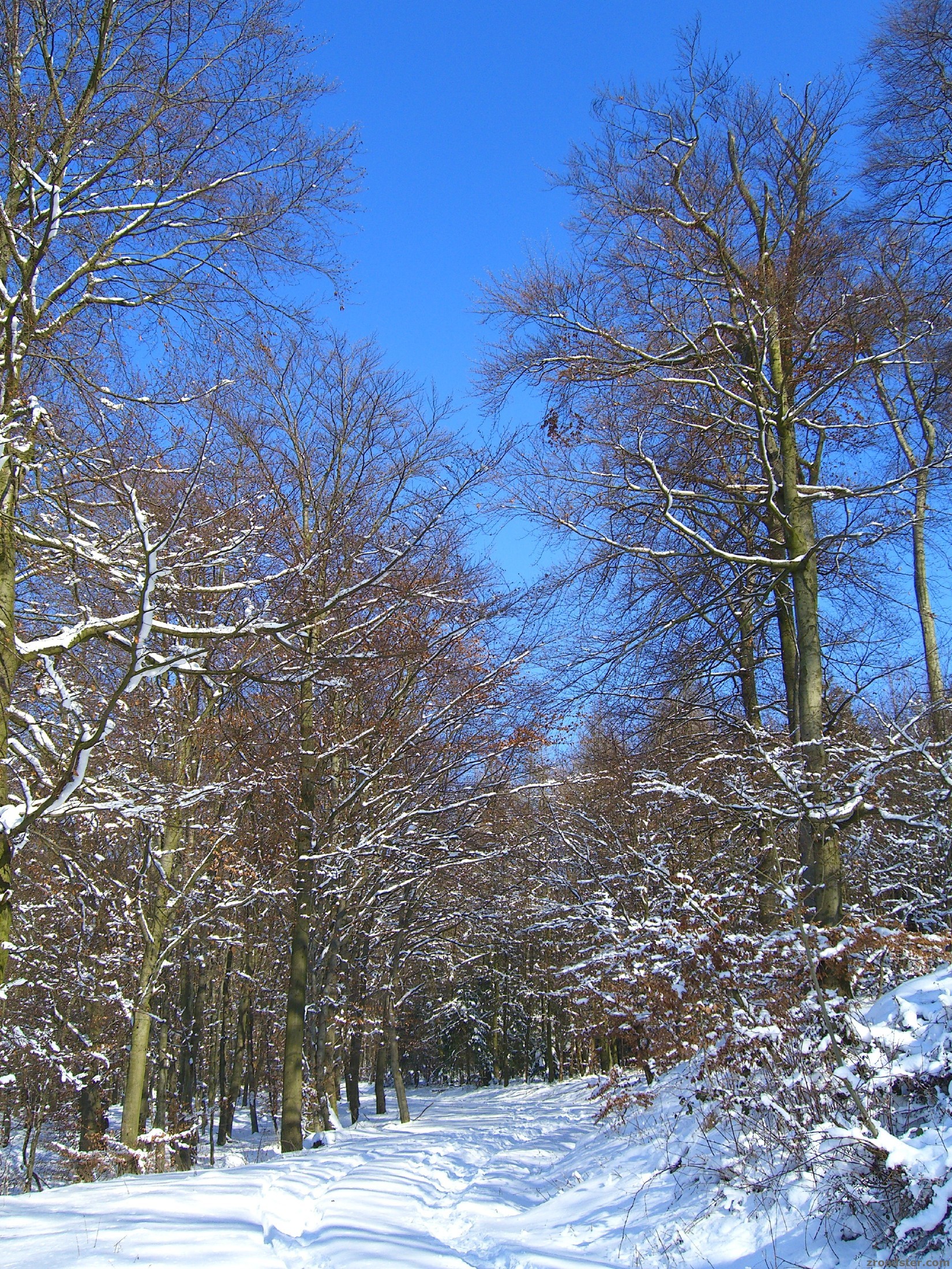 05.03.2006 - schneit nicht mehr ;-)