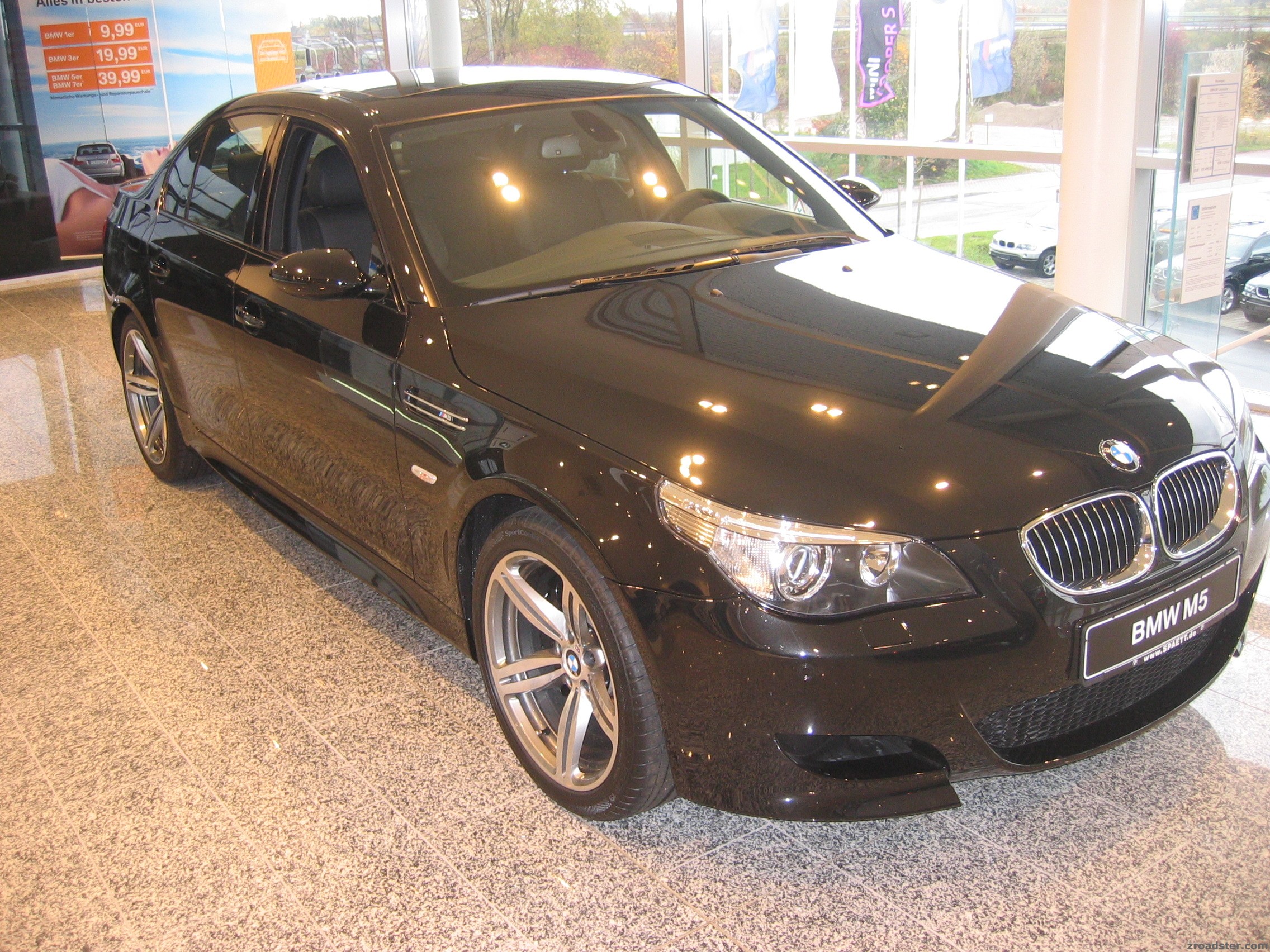 507 schwarze Pferde