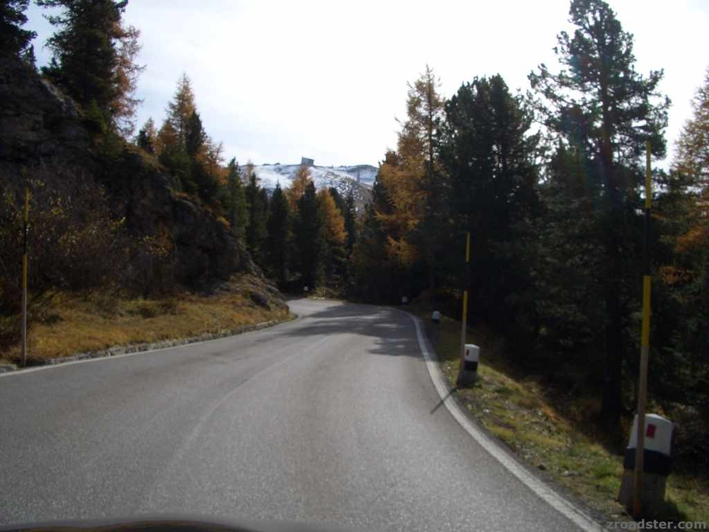 Appetitanreger für 2009