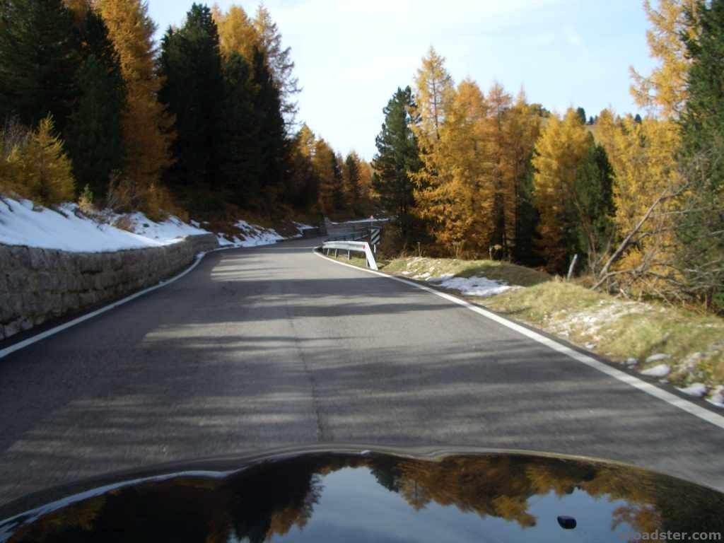 Appetitanreger für 2009