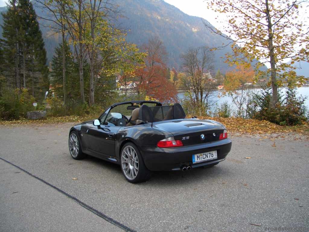 Appetitanreger für 2009