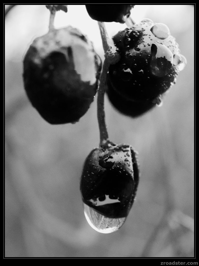 art in black&white
