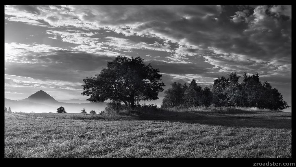 art in black&white