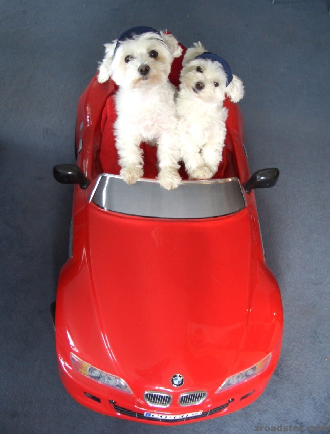 Auch wir fahren Z3