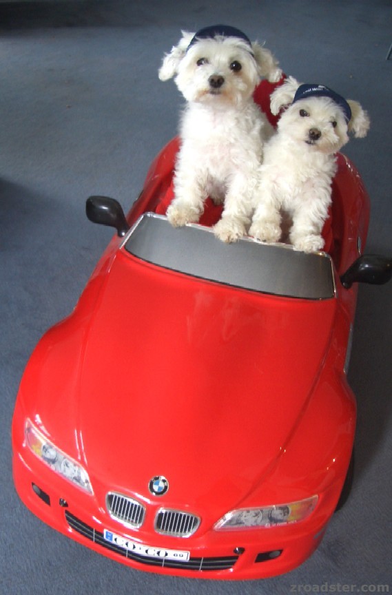 Auch wir fahren Z3