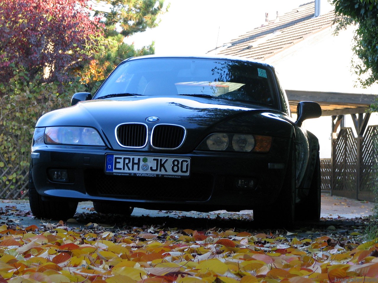 autumn